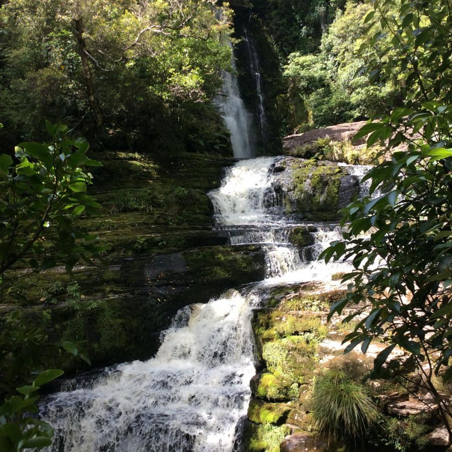Catlins Retreat B & B Owaka エクステリア 写真