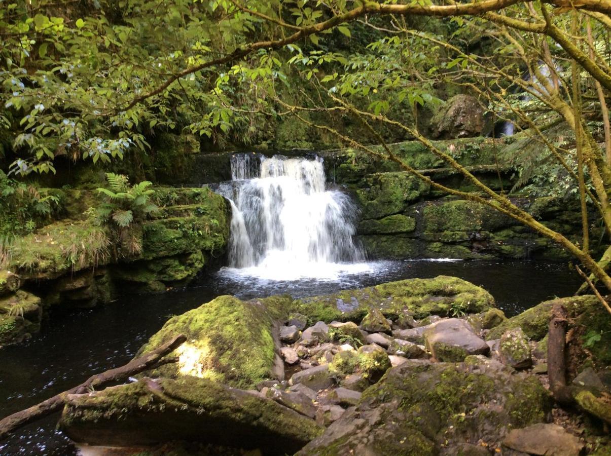 Catlins Retreat B & B Owaka エクステリア 写真